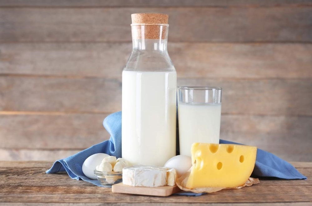 병에 들어있는 우유, 노란 치즈, 잔에 담겨있는 우유 등 유제품들이 모여 있는 이미지
