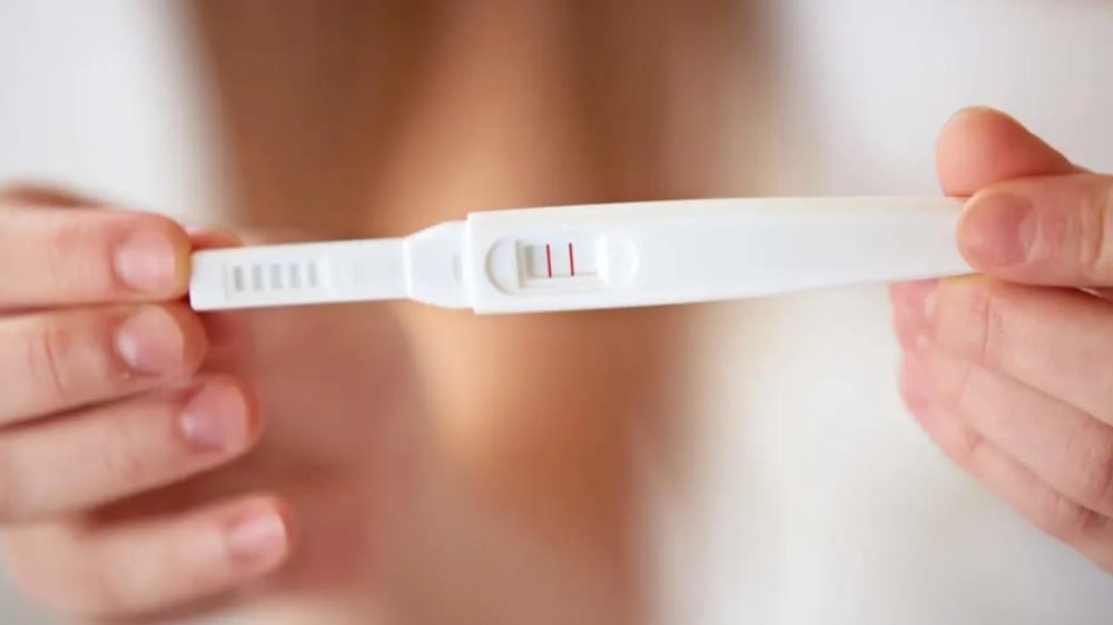 임신확률 관련 임신테스트기를 들고 있는 사람의 손과 임신테스트기 부분을 포커싱한 이미지