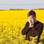 건초열 증상 관련 노란 꽃밭에서 손수건으로 코와 입을 막고 있는 남성의 모습