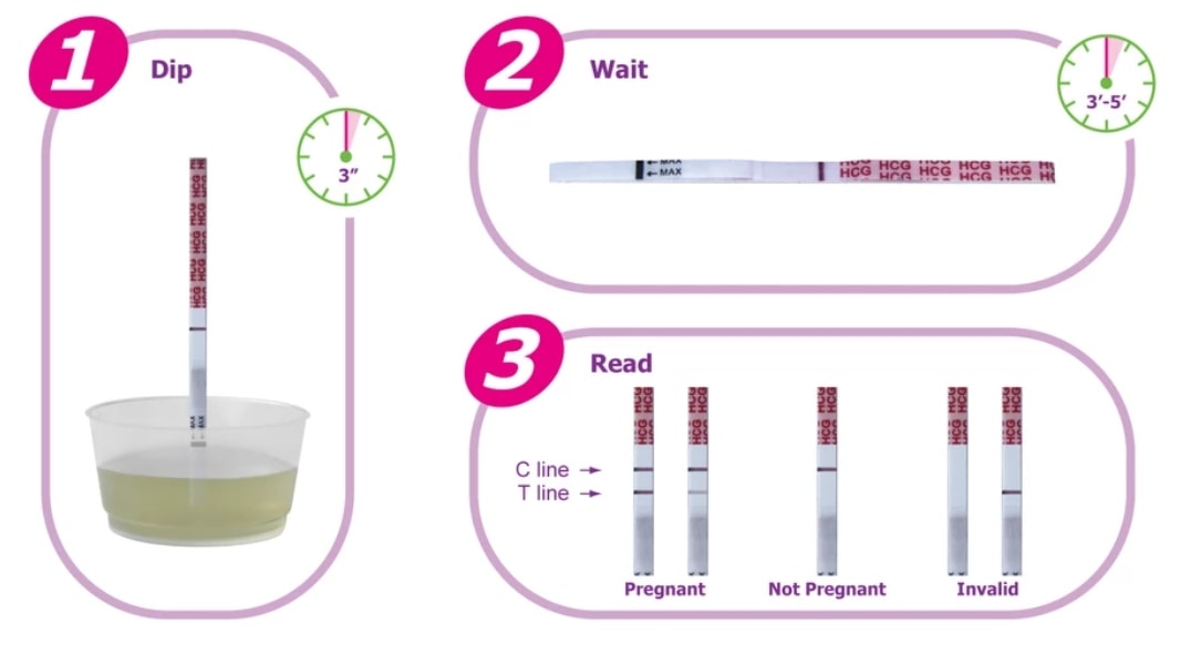 임신테스트기 사용법