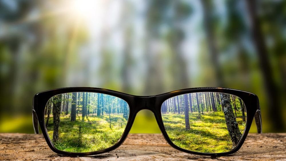 근시 관련 안경 렌즈를 통과한 숲 모습만 깨끗하게 보이는 모습