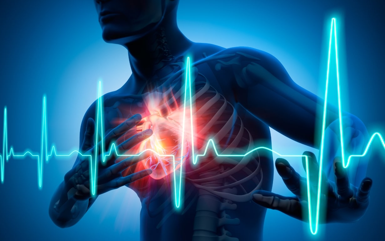 심박수 정상수치 범위 관련 인체 그림 심장 부위가 강조되어 있고 심박 그래프가 함께 그려져 있는 모습