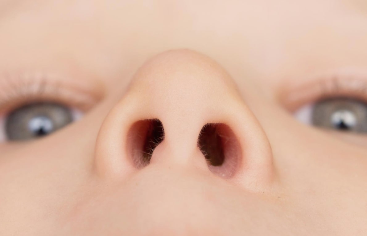 아기 코를 밑에서 찍은 이미지